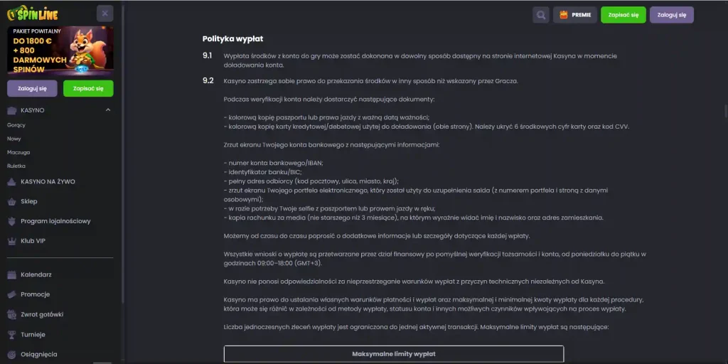 Panel wypłaty Spinline bez danych osobowych użytkownika